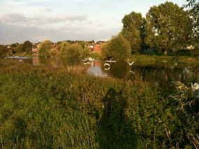 ghbnb_washlands_rowers and birds_0050_550px.jpg (35880 bytes)