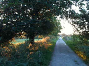 ghbnb_washlands_track nr sharrats farm_0093_600px.jpg (46456 bytes)